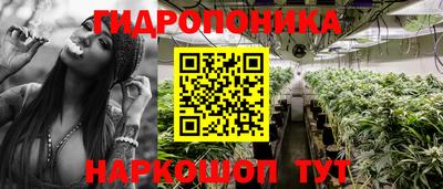 крисы Обь