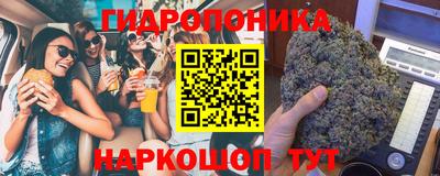крисы Обь