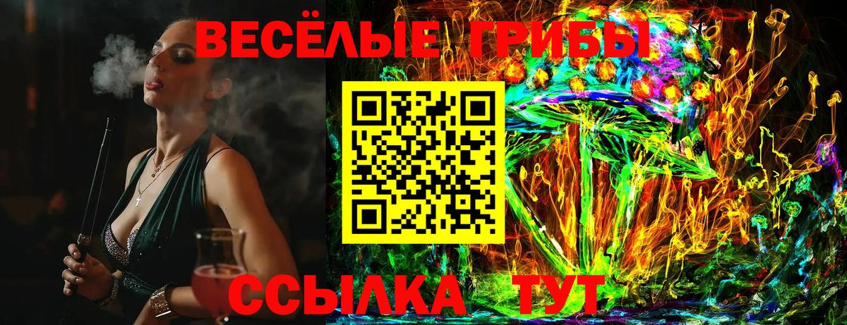 Родники  Псилоцибиновые грибы Psilocybe  Вход с VPN 