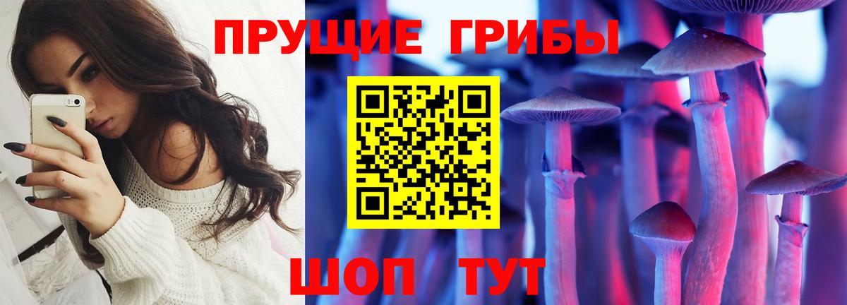 Псилоцибиновые грибы Psilocybine cubensis Родники